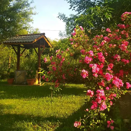 Penzion Къща За Гости” Веси Ем”